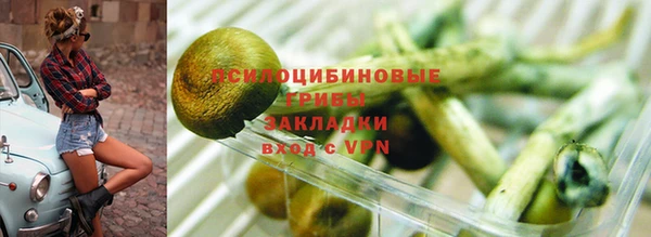 таблы Верхний Тагил