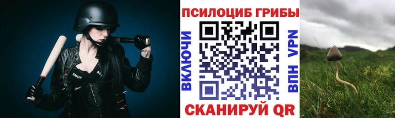 Галлюциногенные грибы Cubensis  блэк спрут ССЫЛКА  Нестеров 
